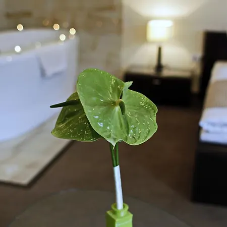 Brill Hotel Orosháza